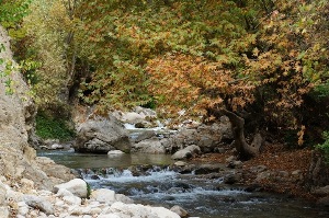 مال آقا تکه ای جامانده از بهشت