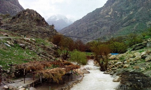 مال آقا کجاست؟