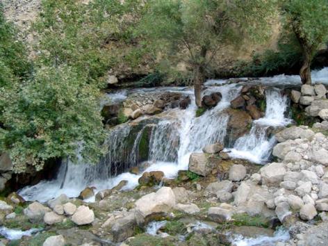 مال آقا کجاست؟