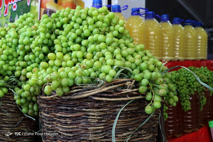 فصل آبغوره گیری در شیراز