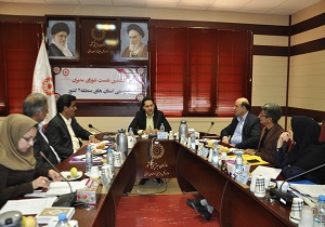 راه اندازی خدمات توانبخشی از راه دور به معلولین بهزیستی