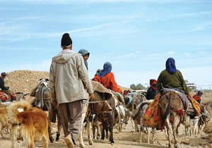 تخصیص ۲۲ میلیارد ریال اعتبار برای ساماندهی اسکان عشایر