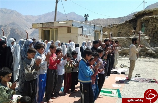 محسن حججی