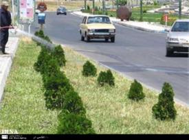 اجرای طرح مدیریت پارک حاشیه ای درشهر زنجان