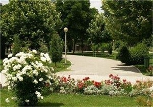 ساماندهی فضای سبز سطح شهر سمنان