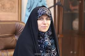 ورود رئیس سازمان میراث فرهنگی به سنندج