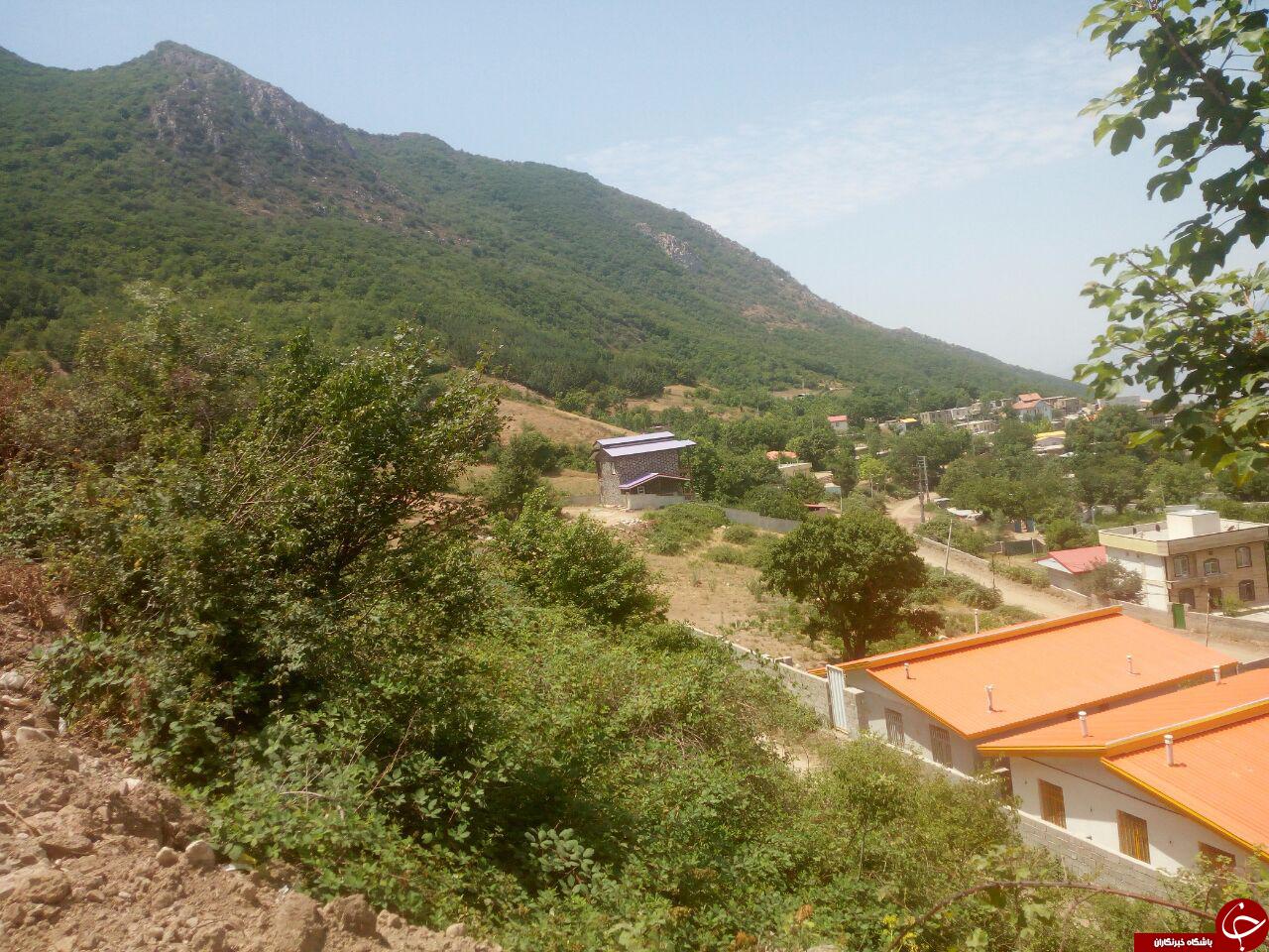 جنگل های ارسباران در قاب تصویر