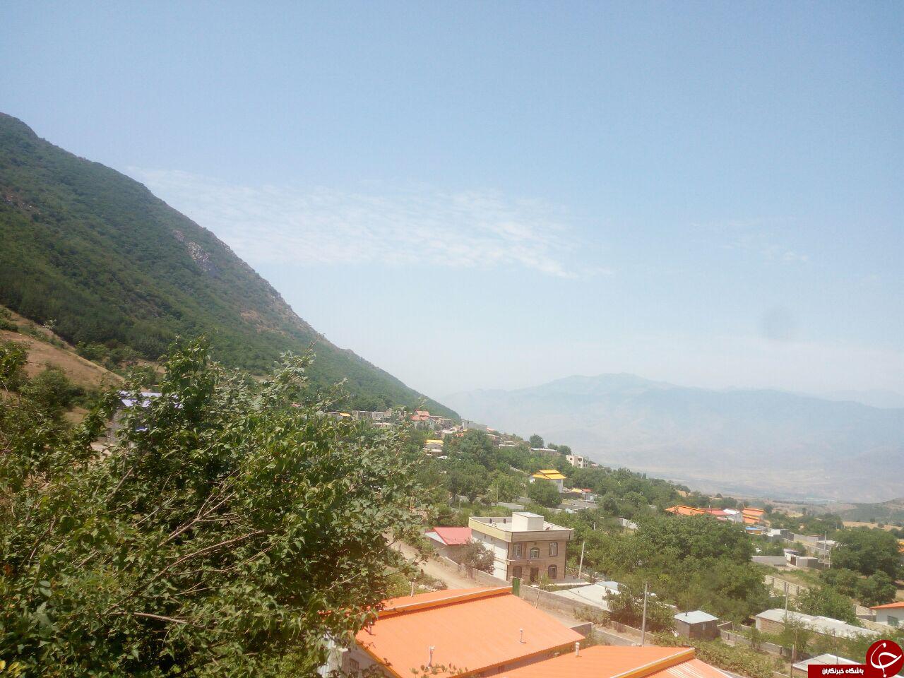 جنگل های ارسباران در قاب تصویر