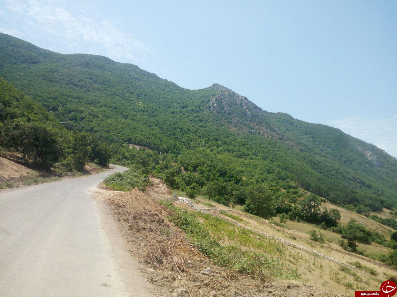 جنگل های ارسباران در قاب تصویر