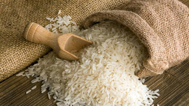 برداشت برنج کلید خورد/نرخ 17 هزارتومانی برنج ایرانی منطقی نیست