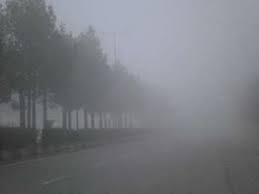 مه دید افقی را در عسلویه به ۵۰ متر رساند