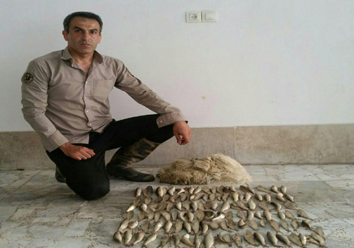 دستگیری صیاد غیرمجاز در بابل و نور +تصاویر