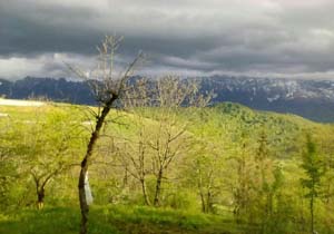 مناظری از طبیعت بکر در ولیک‌چال + تصاویر