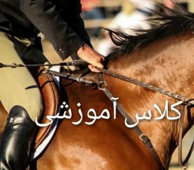پرورش دهندگان اسب استان در کازرون آموزش دیدند