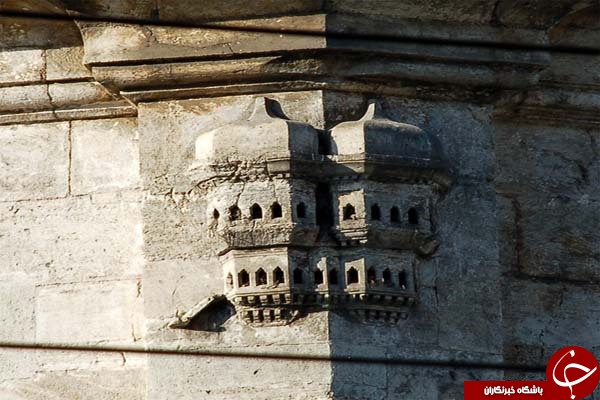 تصاویر دیدنی از لانه های تزئینی پرندگان در کشور ترکیه تصاویر دیدنی از لانه های تزئینی پرندگان در کشور ترکیه