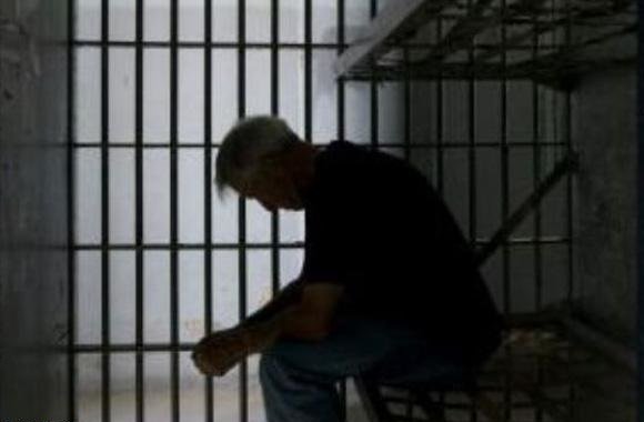 محکومیت عامل فروش و کشتار مرغ زنده به حبس