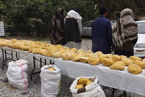 بازداشت سه قاچاقبر مواد مخدر در میدان هوایی کابل