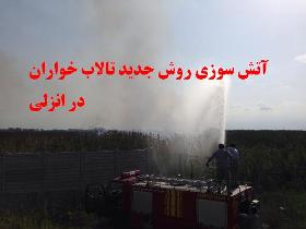 آتش گرفتن اراضی تالاب انزلی