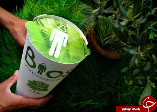 بعد از مرگ، درخت شوید +عکس