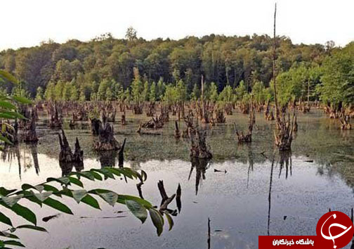 ثبت هفت اثر طبیعی مازندران در فهرست آثار ملی + تصاویر