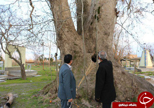 ثبت هفت اثر طبیعی مازندران در فهرست آثار ملی + تصاویر