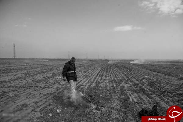 جست وجوی زندگی لابه لای زباله ها+ عکس
