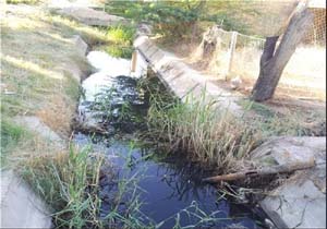 اجرای طرح فاضلاب در روستای خمینی شهر