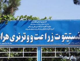 10 تن از فارغین انستیتوت زراعت هرات وارد بازار کار می&zwnj;شوند