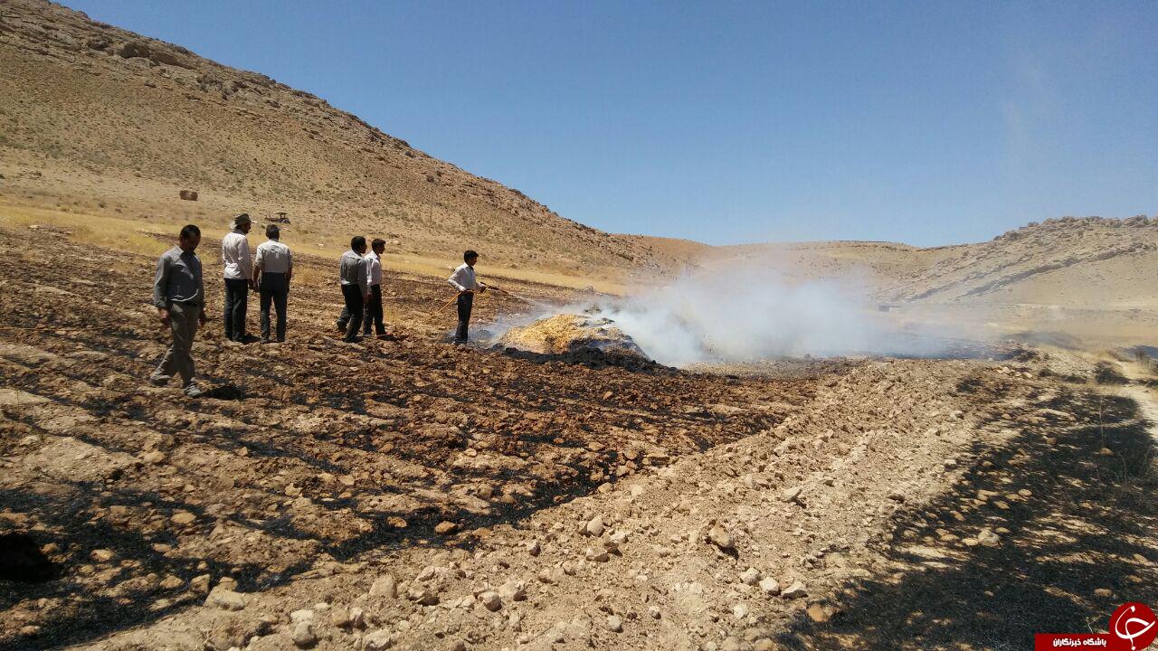آتش&zwnj;سوزی مزارع گندم در &laquo;چشمه شوق&raquo; + تصاویر