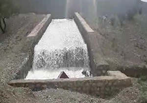 سرقت انگشتر از مغازه کبابی/واژگونی کامیون در خیابان استخر/نشت گاز کلر در دزفول حادثه ساز شد + فیلم و تصاویر
