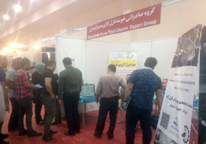 عرضه اندام خوشه قزل‌آلای مازندران در نمایشگاه بین‌المللی شیلات