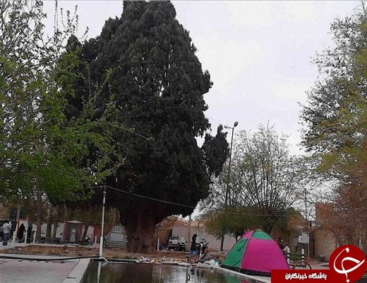 &nbsp;جاذبه های گردشگری مهریز آمیزه&zwnj;ای از تاریخ وطبیعت + تصویر