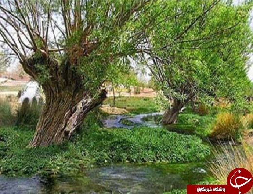 &nbsp;جاذبه های گردشگری مهریز آمیزه&zwnj;ای از تاریخ وطبیعت + تصویر