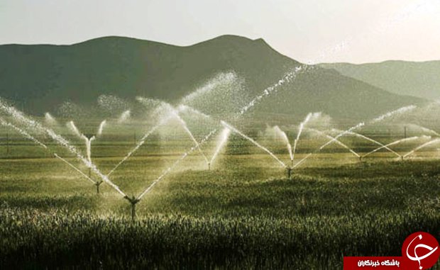 از اهدای اعضای جوان ۲۴ ساله ارومیه به بیماران نیازمند تا اعزام نخستین کاروان زائران حج تمتع استان