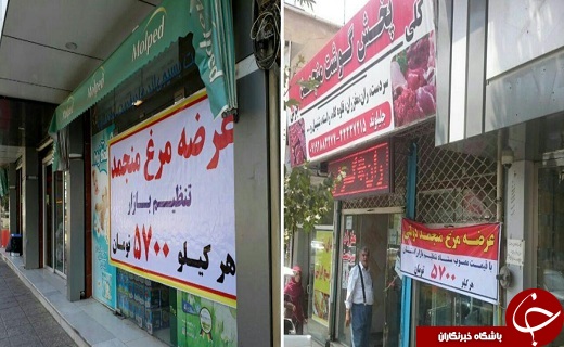 آغاز توزیع گوشت قرمز و مرغ منجمد