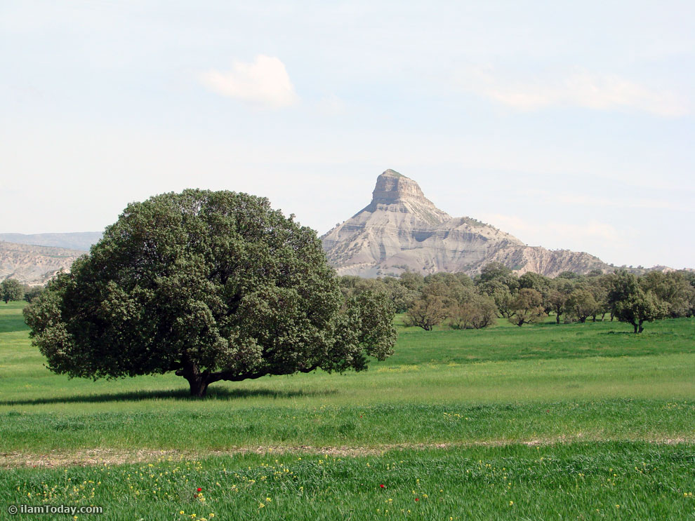 مناطق بکر و زیبای استان باید دست نخورده بماند