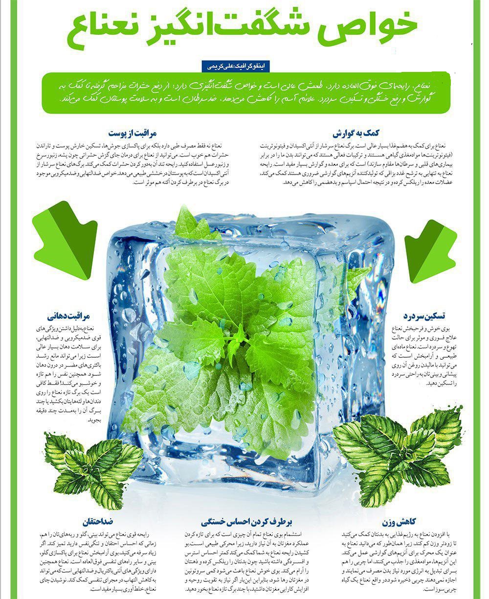 خواص شگفتانگیز نعناع؛از لاغری تا زیبایی پوست و رفع خستگی+ اینفوگرفیک خواص شگفتانگیز نعناع؛از لاغری تا زیبایی پوست و رفع خستگی+ اینفوگرفیک
