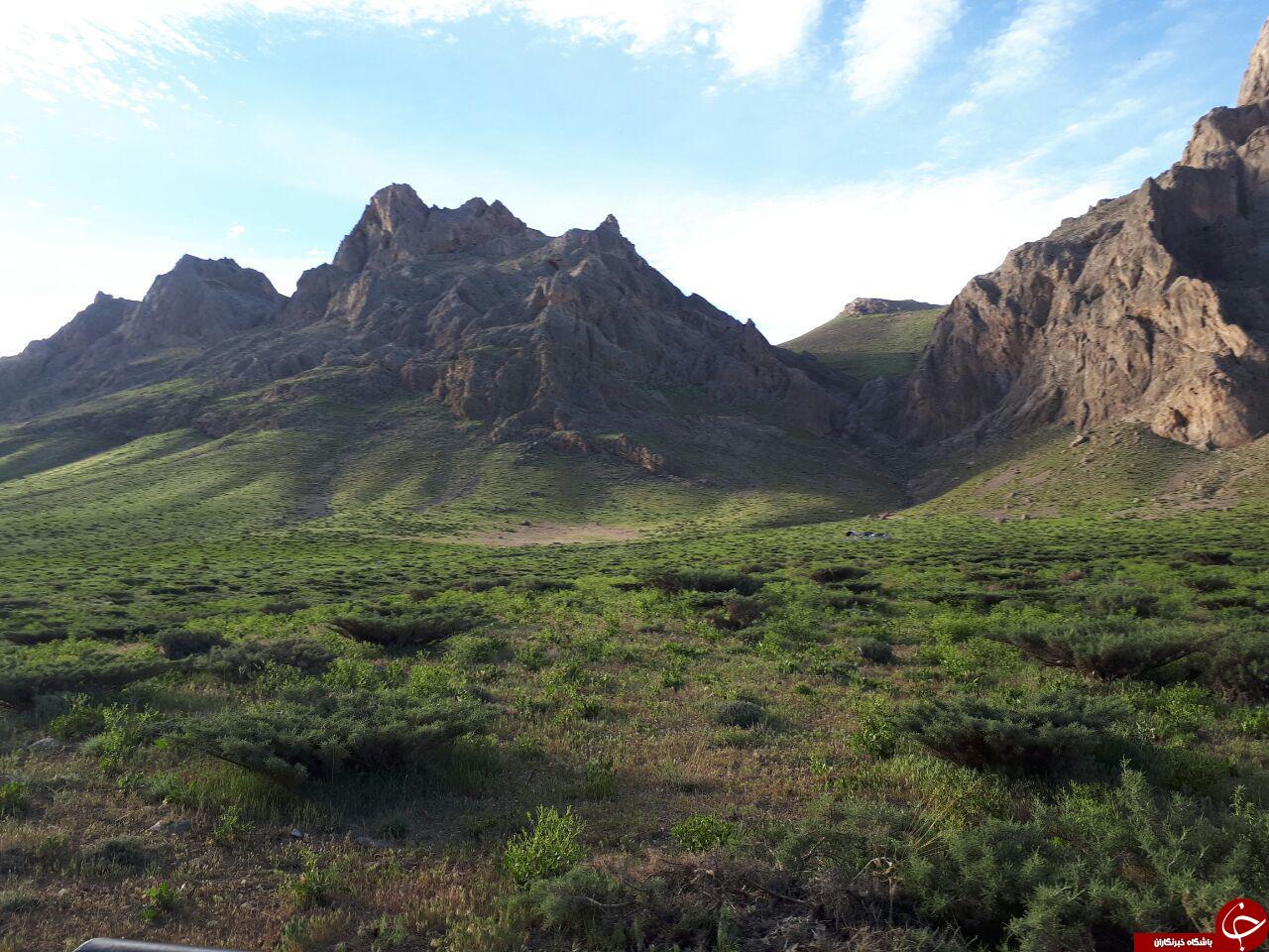 طبیعت زیبای رودخانه &laquo;چشمه مرغاب&raquo; + تصاویر