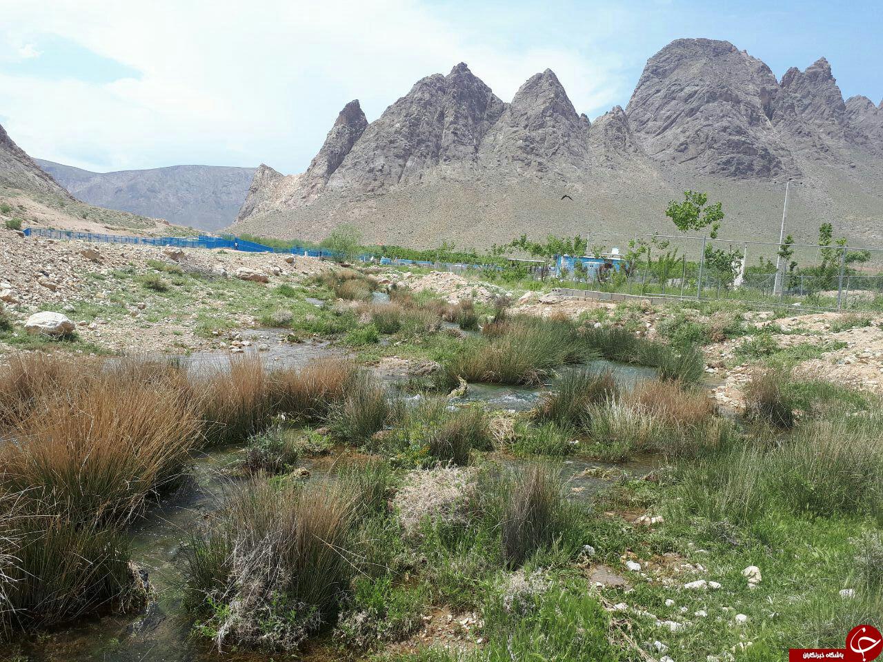 طبیعت زیبای رودخانه &laquo;چشمه مرغاب&raquo; + تصاویر