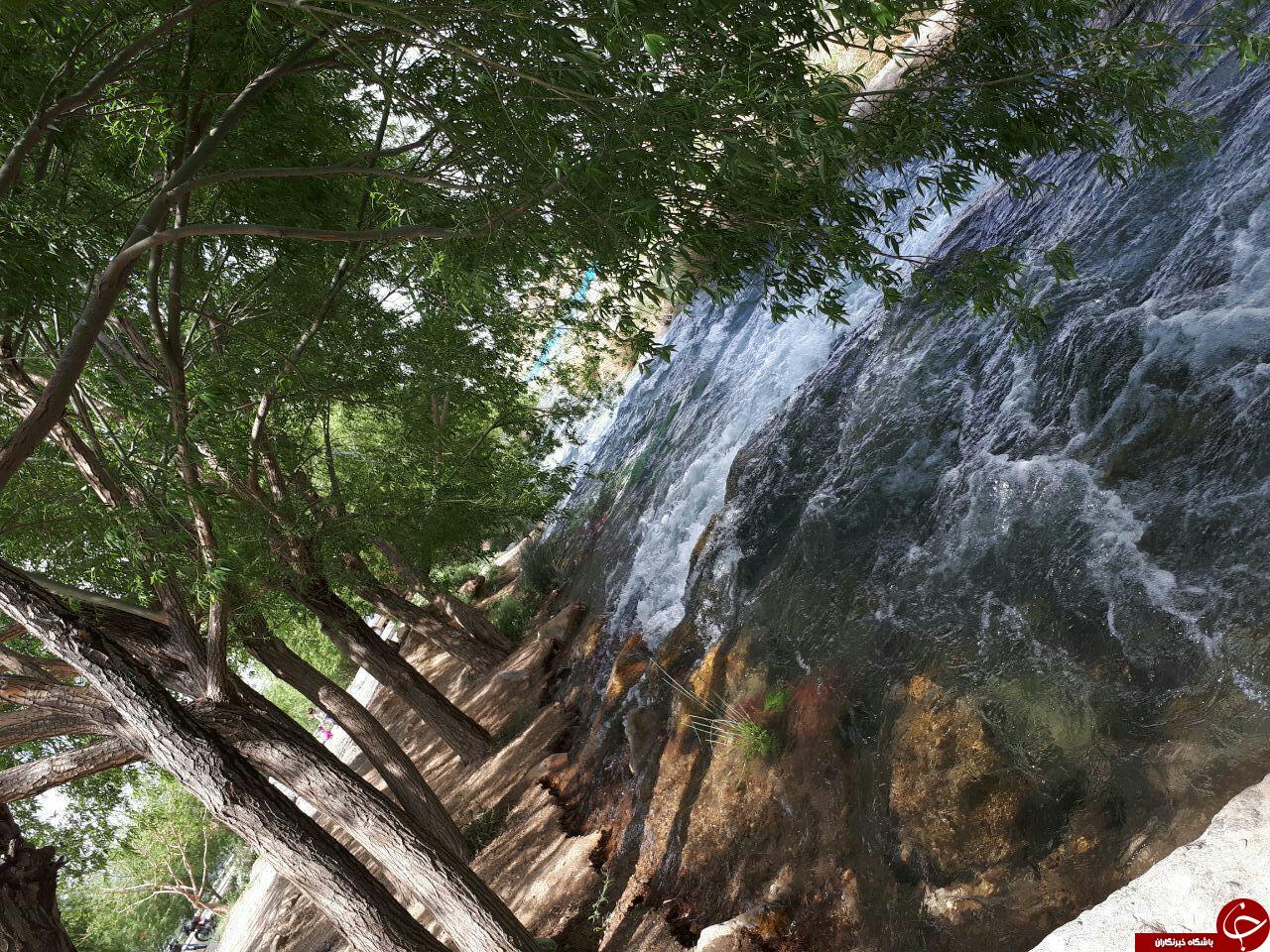 طبیعت زیبای رودخانه &laquo;چشمه مرغاب&raquo; + تصاویر