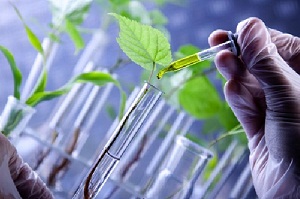 ۸۷ طرح تحقیقات کشاورزی در استان مرکزی در حال اجرا