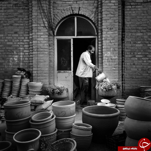 سفالگر نگران گل&zwnj;های گرمازده است