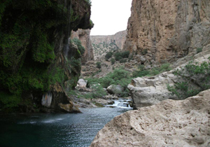 جاذبه&zwnj;های دیدنی دره 