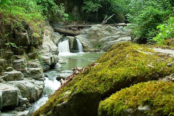 شهری که مردمش 100 سال عمر می کنند
