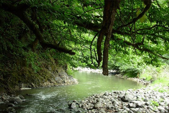 شهری که مردمش 100 سال عمر می کنند