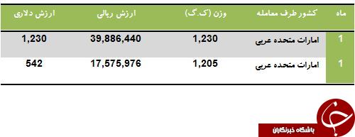 مشتری ثابت آرتيشو ایرانی را بشناسید