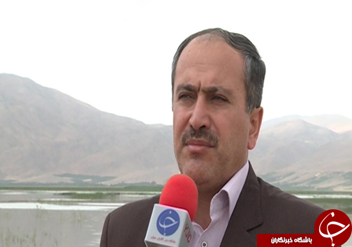 تولد دوباره تالاب گندمان