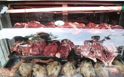 معدوم سازی بیش از ۱۰۰کیلو گرم فرآورده های خام دامی در انار