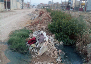 وضعیت نامناسب بهداشت در شهرک جهاد + تصاویر