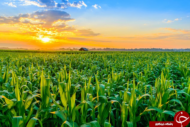 یک جنگ هسته&zwnj;ای جزیی مساوی یک فاجعه زیست&zwnj;محیطی جهانی است